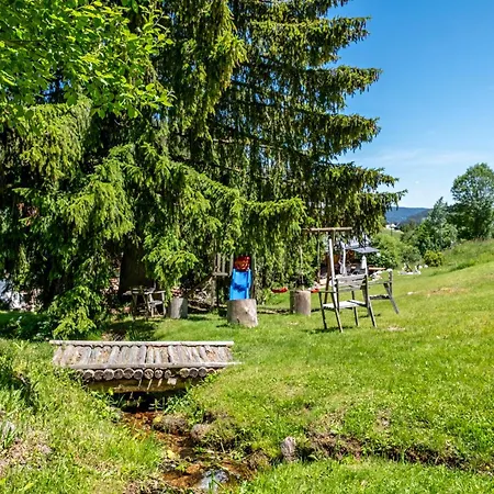 Isele * Feldberg (Baden-Wurttemberg)